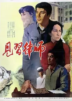 见习律师