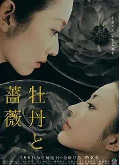 牡丹与玫瑰