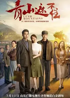 青山遮不住