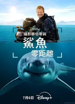 摄影师贝尔蒂与鲨鱼零距离