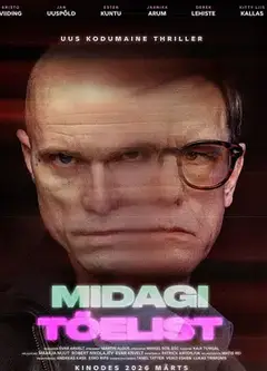 真实之物 Midagi tõelist