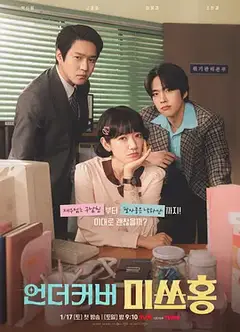 卧底洪小姐