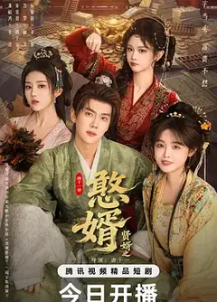 贤婿之憨婿