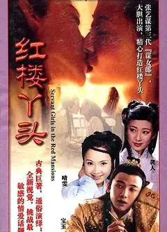 红楼丫头