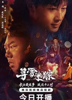 寻雪迷踪