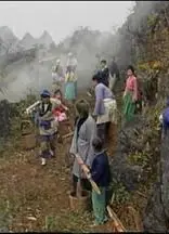 鱼公主红鲤公主