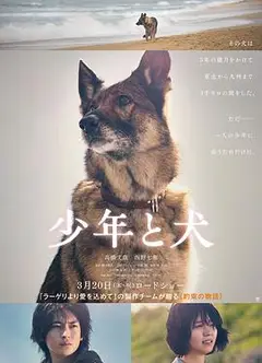 少年与犬