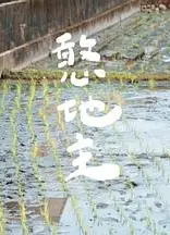憨地主
