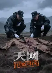 天网：旧案寻凶