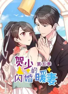 贺少的闪婚暖妻第五季