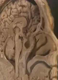 追踪人性之恶