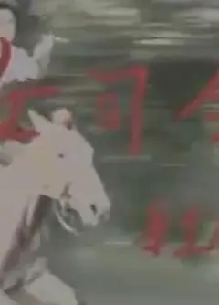 女司令