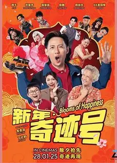 新年奇迹号