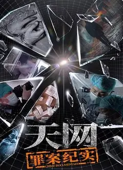 天网：罪案纪实