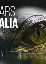 狂野澳洲第四季