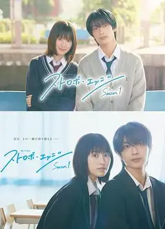 闪烁的爱情第一季