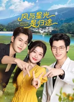 风与星光是归途