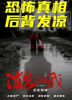 消失的我