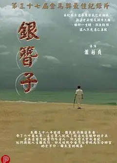 银簪子