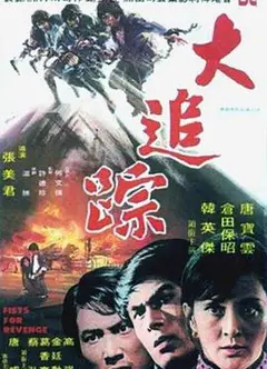大追踪
