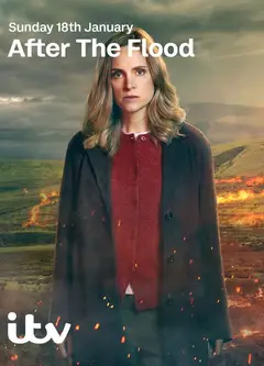 洪水之后第二季