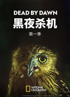 黑夜杀机第一季