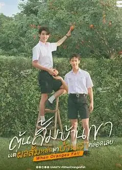 当橘子掉落时