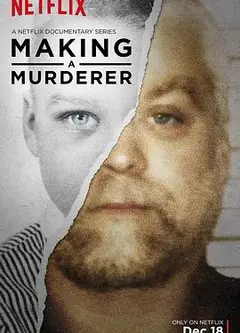 制造杀人犯第一季