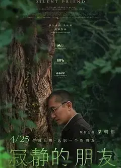 寂静的朋友