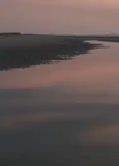 两个爸爸的故事​