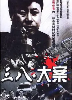 3·8大案