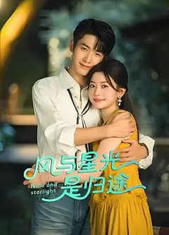 风与星光是归途