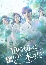 没有砍十次还不倒的树