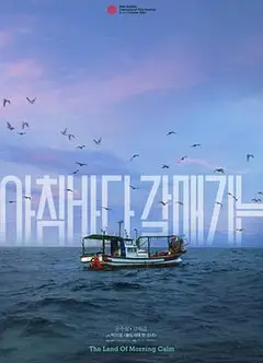 晨海的海鸥