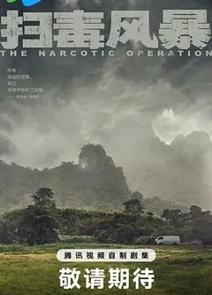 扫毒风暴