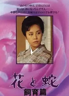 花与蛇饲育篇
