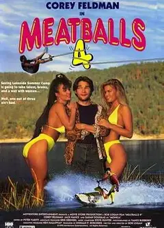 肉丸4