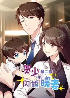 贺少的闪婚暖妻第二季