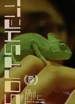 软壳