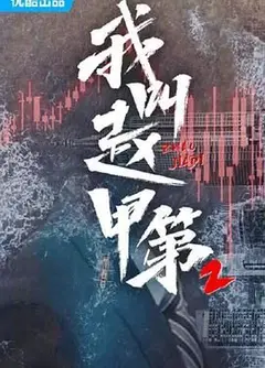 我叫赵甲第二季