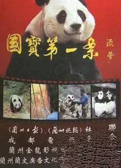 国宝第一案