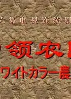 白领农民