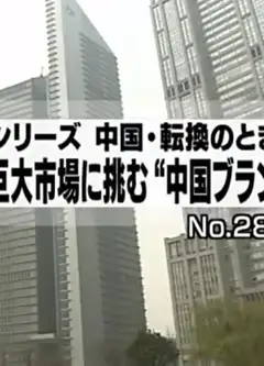 中国-转变的时刻：本土品牌战略