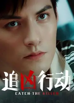 追凶行动