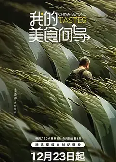 我的美食向导