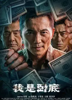 我是卧底(电影版)