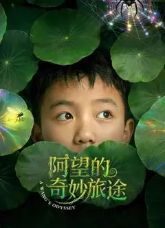 阿望的奇妙旅途