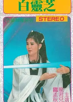 白灵芝