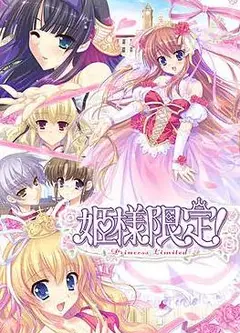 公主限定
