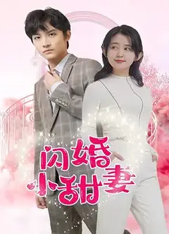 闪婚小甜妻